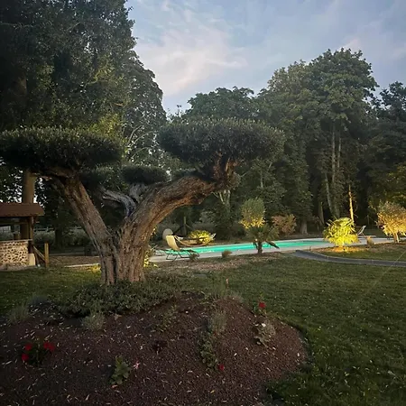 Demeure D'exception A La Campagne, 1h15 De Paris, Padel & Piscine Villa