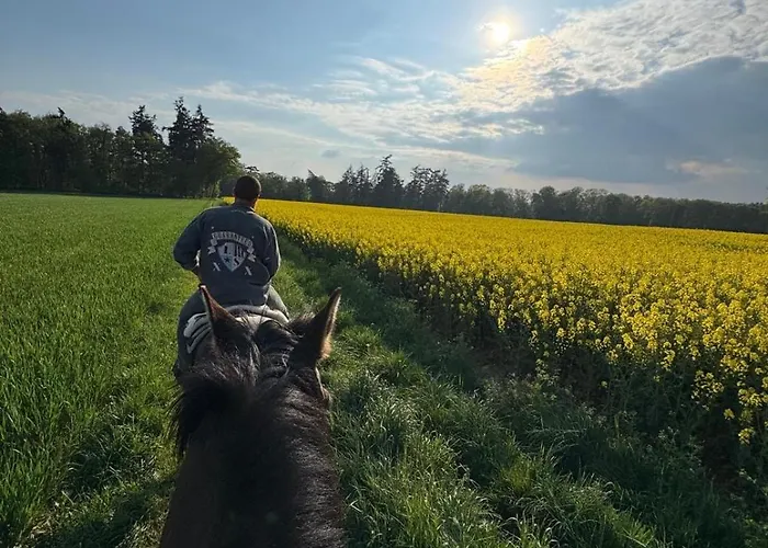 Demeure D'exception A La Campagne, 1h15 De Paris, Padel & Piscine