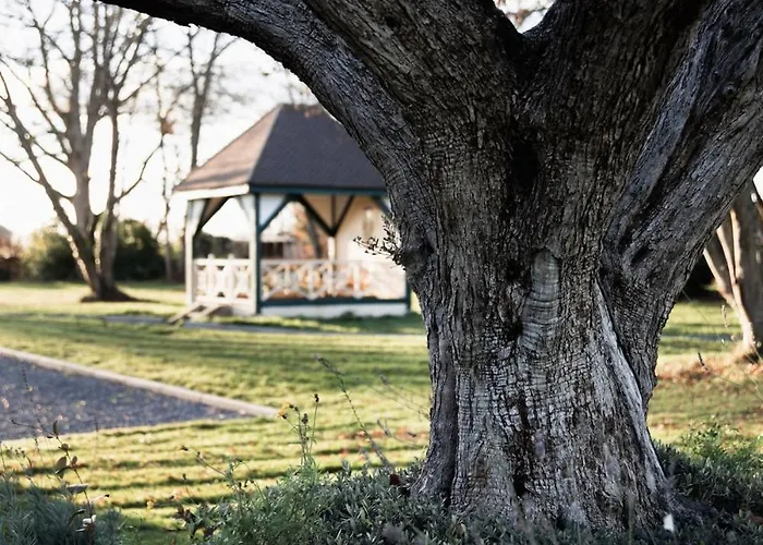 Demeure D'exception A La Campagne, 1h15 De Paris, Padel & Piscine Βίλα *